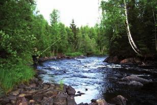 I Umeå finns de som lovar allt åt alla utan att kunna redovisa hur det ska finansieras.