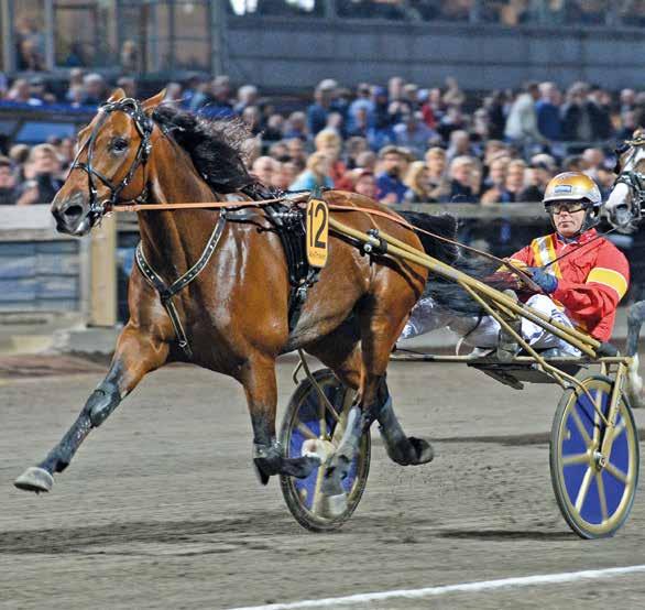 banprogram ÅBY