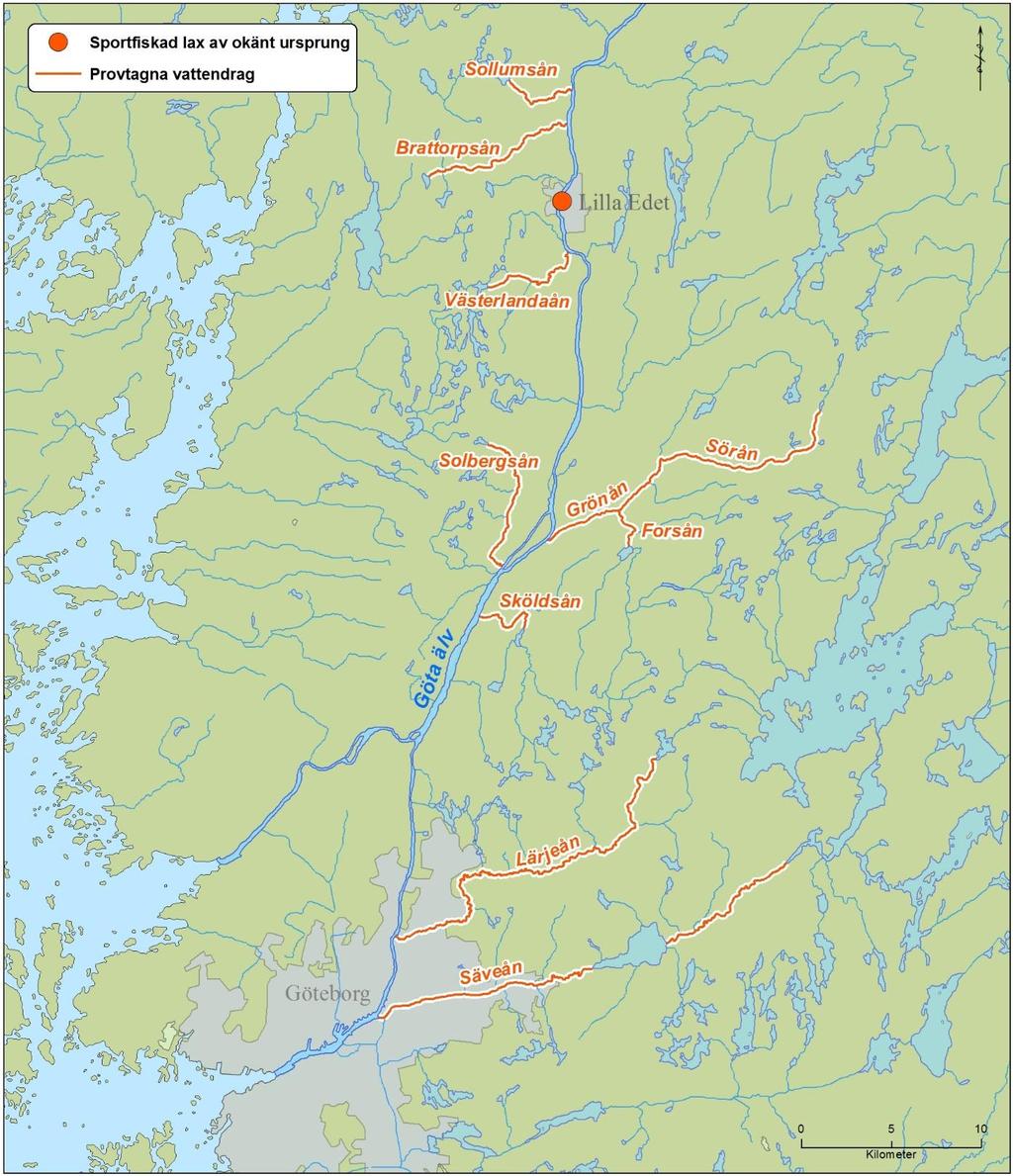 Figur 1. Karta över de provtagna vattendragen som används i referensdatabasen. I kartan är även Lilla Edet utmärkt där den oklippta laxen av okänt ursprung provtogs av sportfiskare.