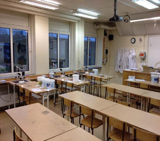 De tittade, visade och förundrades och lektionen gick alltför fort.