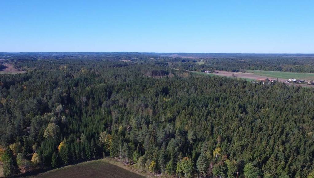 De skogsklädda bergshöjderna karaktäriseras av slutet skogslandskap, med få inslag av öppna områden som mindre sjöar och våtmarker, se figur 2.2:4.