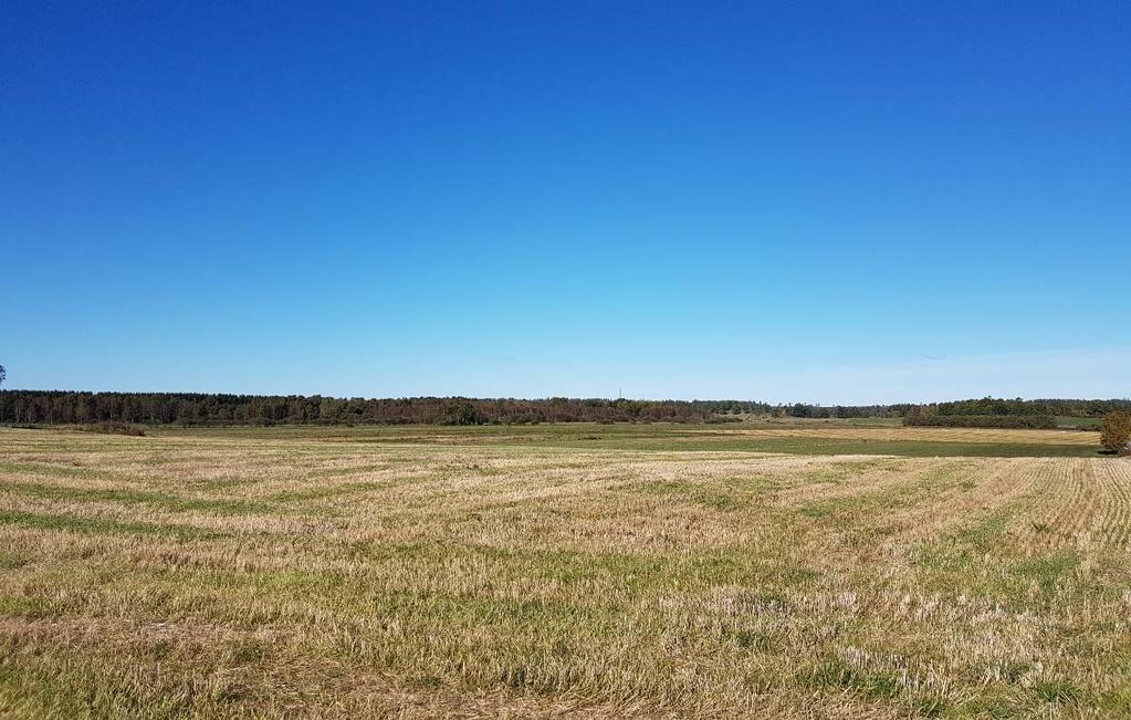 Område 4: Öppen slätt kring Nossan Området utgör ett storskaligt landskapsrum som är mycket flackt och ger långa utblickar. Landskapet är helt uppodlat, med mycket få landskapselement.