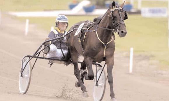 Grupplöpningar Aktuell bild saknas Gulddivision (Gr II Nat) Mantorp 12 mars. Lätt bana. 590.000 kr. 2140 m. 1 Flying Herkules 15,4 300.000 62 Hanné Tommy 2 Papa Qui 15,5 150.