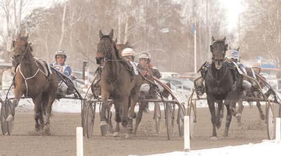Gatsby* (FR) 15,9 18 Kolgjini Lutfi Favorit 16,4 110 Jansson Torbjörn Napoleon Tim 17,0 649 Nilsson Frank Lill Adolf 19,5g 188 Adielsson Erik Segrare: valack 6 år e. Lindy Lane-Flying Grace.
