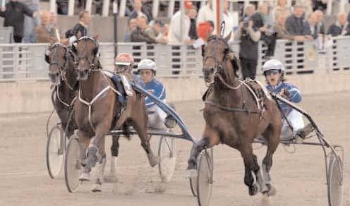 Cold Hard Wind* (FI) 12,1 184 Adielsson Erik Gatsby* (FR) 12,2 381 Kolgjini Lutfi Smashing Victory 12,2 613 Goop Björn Segrare: hingst 7 år e. Good As Gold-Keystone Jazzy.