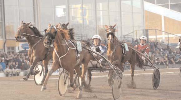 Pirate Copy 13,4 283 Johansson Stig H Stand Strong* (US) 14,0 277 Svanstedt Åke Segrare: hingst 5 år e. Deliberate Speed-Barina Loss. Ägare: Stall Kola HB, Vimmerby.