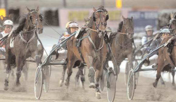 Grupplöpningar Solvalla Grand Prix (Gr II Int) Solvalla 30 november. Lätt bana. 1.000.000 kr. 2140 m. 1 Intoxicated 14,3 500.000 132 Kihlström Örjan 2 Passionate Kemp* (FI) 14,3 250.