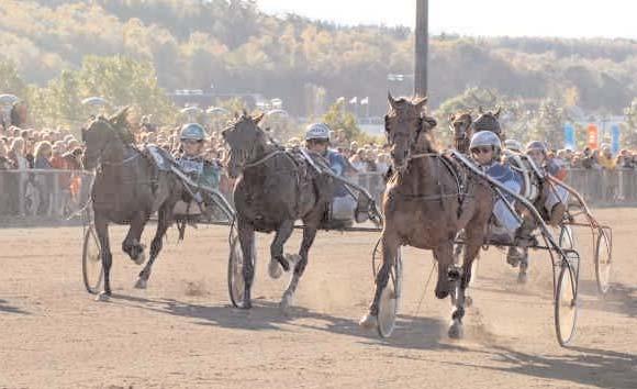 Grupplöpningar Derbystoet (Gr II Nat) Jägersro 4 september. Lätt bana. 1.000.000 kr. 2140 m. 1 Fama Currit 14,1 500.000 16 Ingves Peter 2 Spoon Hornline 14,2 250.