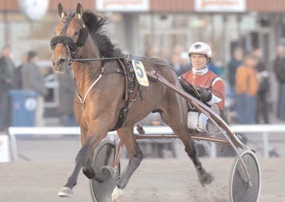 Snabbaste 2-åriga h/v Snabbaste varmblod Glen Kronos Svenskfödda Utlandsfödda Tap Dance B 17/11 1640 *1.16,8 Pineish B 17/11 1640 1.17,1 Mellby Quantas S 2/10 1640 *1.