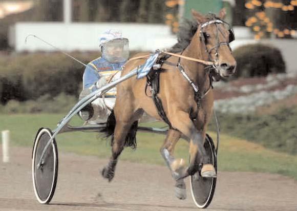 Snabbaste 2-åriga ston Snabbaste varmblod Vanessa Boko Svenskfödda Utlandsfödda Vanessa Boko S 7/12 1660 *1.14,8 Solid Lady Spin S 7/12 1640 1.16,3 Vanilla Boko Hd 28/11 1640 *1.16,4 U.S.A.