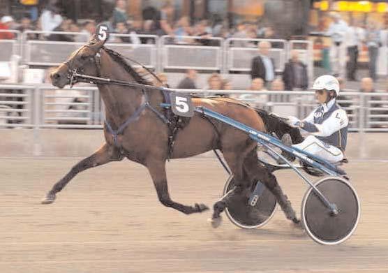 Snabbaste 4-åriga h/v Snabbaste varmblod Turbo Sund Svenskfödda Utlandsfödda Master Växus Ro 22/4 1660 *1.13,6 Beddinge Boy Å 7/5 1640 *1.13,7 Nightshift E 28/6 1640 *1.