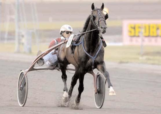Snabbaste 5-åriga h/v Snabbaste varmblod Face of Speed Svenskfödda Utlandsfödda Spring Ray S 28/5 3180 1.13,6 Remy Detain J 23/6 1640 1.13,6 Gazza Degato Bj 4/9 1640 1.13,8 Luxury Ås G 25/3 2180 1.
