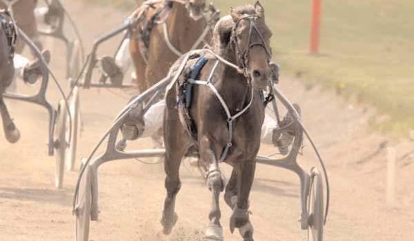 Jansson Torbjörn Segrare: hingst 4 år e. Pearsall Hanover-Ring in Peace. Ägare: Stall Lökene AB (Goop B) & Carlsson G. Uppfödare: Eriksson Lennart, Fjärås.