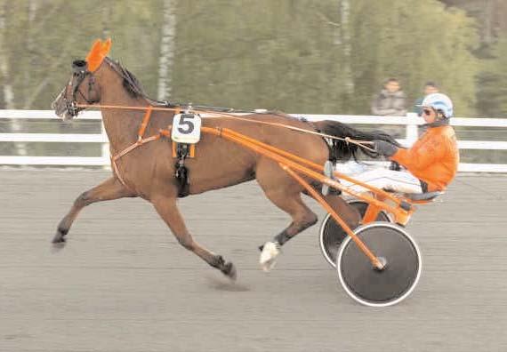 Snabbaste äldre ston Snabbaste varmblod Västerbo Daylight Svenskfödda Utlandsfödda Västerbo Daylight (8) V 6/2 2175 *1.11,1 Eli Sea (7) B 19/5 1660 *1.12,5 Hilda Zonett (8) V 30/1 2700 1.