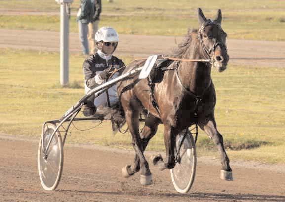 Snabbaste 4-åriga h/v Snabbaste kallblod H.G.Balder Svenskfödda Utlandsfödda Sundbo Kravall L 19/6 2160 *1.26,5 Kläppman B 5/10 2160 1.28,4 Storgårds Killen Ro 29/4 2160 1.28,8 Lomar Ar 20/7 2100 *1.