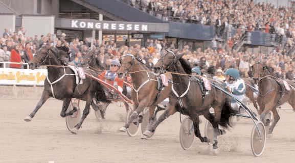 Insatslopp 3-åringar Svenskt Travkriterium (Gr I Nat) Solvalla 2 oktober. Lätt bana. 3.200.000 kr. 2640 m. 1 Jaded 16,6 1.600.000 54 Kihlström Örjan 2 Photo Sea 16,6 800.