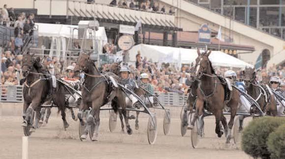 000 1719 Hedin Olle Opl. First Tilly 18,6g 489 Jansson Torbjörn Born to Dance 19,2 1952 Witasp Leif Sommelier dug 359 Kolgjini Lutfi Rite on Track dug 188 Goop Björn G.