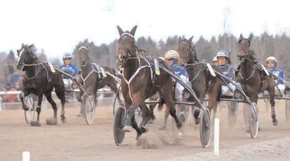 000 487 Kontio Jorma 6 Ambra Hammering 15,0 50.000 2249 Sundberg Hans-Owe Opl.