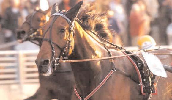Insatslopp 3-åringar Aktuell bild saknas E3-final, öppen klass (Gr I Int) Romme 2 juli. Lätt bana. 1.600.000 kr. 2140 m. 1 Kung Lavec 13,6 800.000 67 Lindberg Lars 2 Bertuzzi 13,7 400.