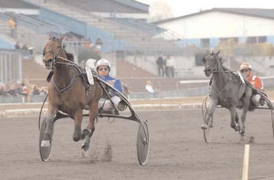 Insatslopp 2-åringar Svensk Uppfödningslöpning (Gr I Nat) Jägersro 29 oktober. Lätt bana. 1.000.000 kr. 2140 m. 1 Simb Chaplin 16,3 500.000 23 Kontio Jorma 2 Garfish Face 16,8 250.