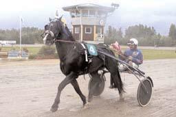 Midtfjeld Per Oleg Segrare: hingst 2 år e. Pearsall Hanover-Moonie Ås. Ägare: Moonwalker HB, Vallentuna. Uppfödare: Lindh Ulrik & Ylva. Tränare: Nieminen Markku, Finland Totalisatoromsättning: 1.216.