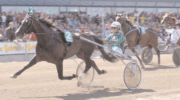 Ilster d Espiens* (FR) 10,5 808 Treich Jacques Henri Civil Action* (US) 10,9 867 Leoni Paolo Digger Crown d6g 143 Johansson Stig H Segrare: hingst 7 år e. Good As Gold-Keystone Jazzy.