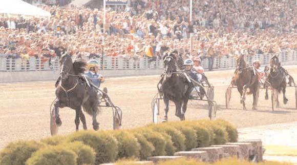 Love You* (FR) 12,2 37 Dubois Jean Pierre Prime Prospect* (US) 12,2 326 Guzzinati Andrea Tsar d Inverne 12,8 433 Bergh Robert Chucaro Ahijuna* (AR) d8g 238 Hennessey Wally Segrare: hingst 10 år e.
