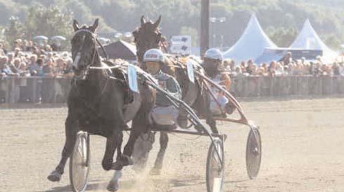 Smasher-As Always. Ägare: AB Paddan, Alnö. Uppfödare: Carlsson Inge, Istorp. Tränare: Ohlsson Ulf, Njurunda Totalisatoromsättning: 2.371.019 kr. Odds: 2,76. Plats: 1,60-1,56-3,33.