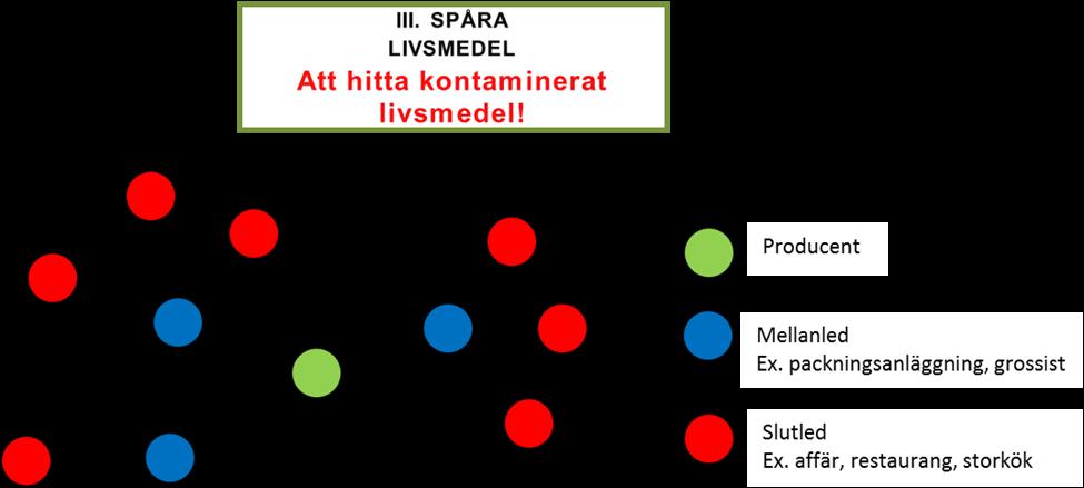 III. Spåra livsmedel Livsmedels- och foderföretagare är skyldiga att se till att det går att spåra livsmedel, foder, livsmedelsproducerande djur och andra ämnen som kan ingå i livsmedel eller foder.