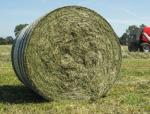Det fantasieggande namnet har tack och lov ingen koppling till presskammarens JCUVKIJGV )GQOGVTKP IÒT CVV CNNC RTGUU XCNUCT MCP HÁT DÀVVTG MQPVCMV OGF balarna i