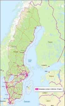 Bullerdämpa naturmiljöer Internationella studier visar att antalet djur fortsätter minska de kommande decennierna om inga åtgärder vidtas (minskning av däggdjur 46 procent, minskning av fåglar 22