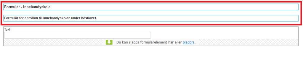 I de två översta fälten kan man fylla i en titel för formuläret som ska visas på
