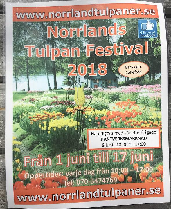 enligt henne är den enda ekologiska odlingen av tulpaner som finns.
