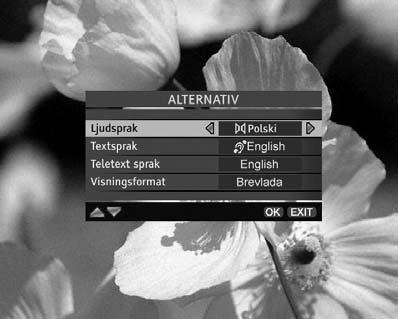 Information om aktuellt program Inmatningsruta för kanalnummer 4.6.
