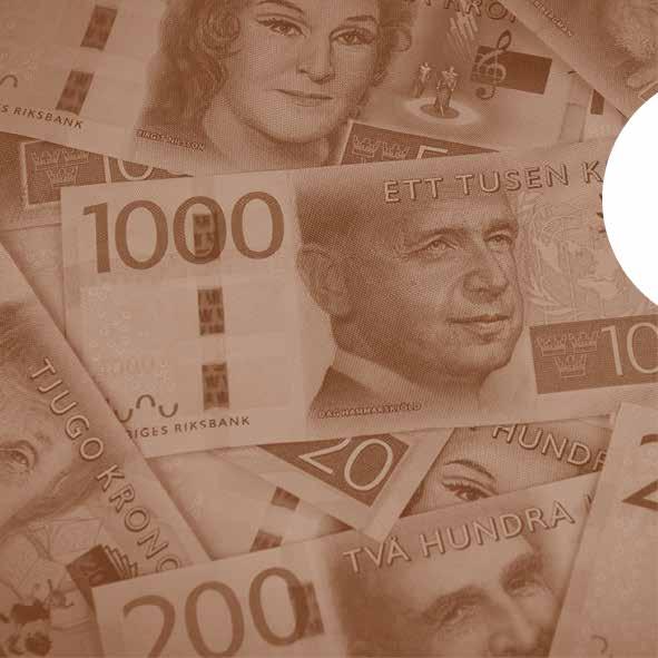 Penningoch valutapolitik 2018:2
