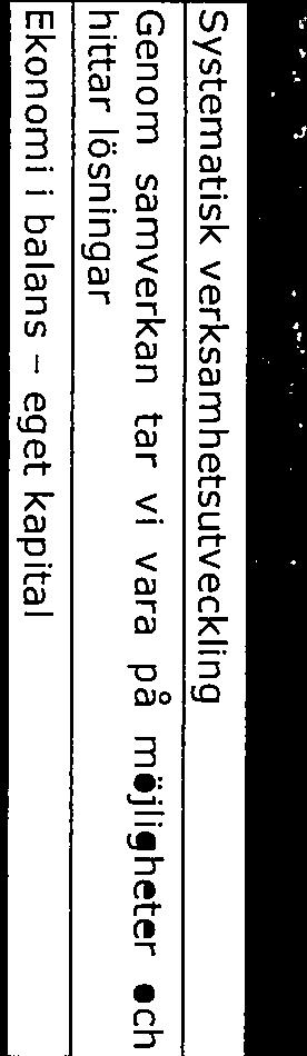 För att Bergsjöns elever ska ha möjlighet att lyckas maste de fa utveckla lärandet pa det egna modersmalet. Att utveckla formerna för och innehallet i modersmålsundervisningen är således strategiskt.