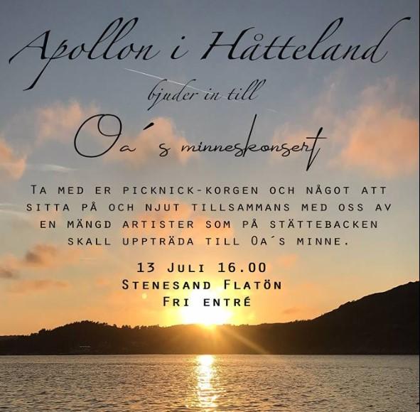 Barnens Dag 2019? Vi undrar om det finns något intresse av att ordna en Barnens Dag nästa sommar. Hoppborg, lekar, spel, mindre tävlingar? Finns det någon som vill vara med att ordna?