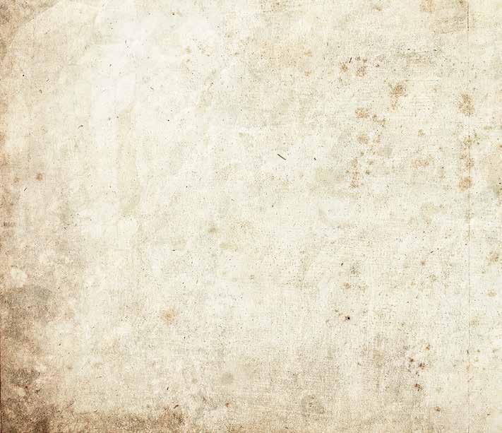 4.3.2 Kulturtolk Professionell bakgrund: Till följd av olika praxis och utbildningskrav, samt avsaknaden av ett tillsynsorgan, saknar kulturtolkar i europeiska länder en tydlig professionell
