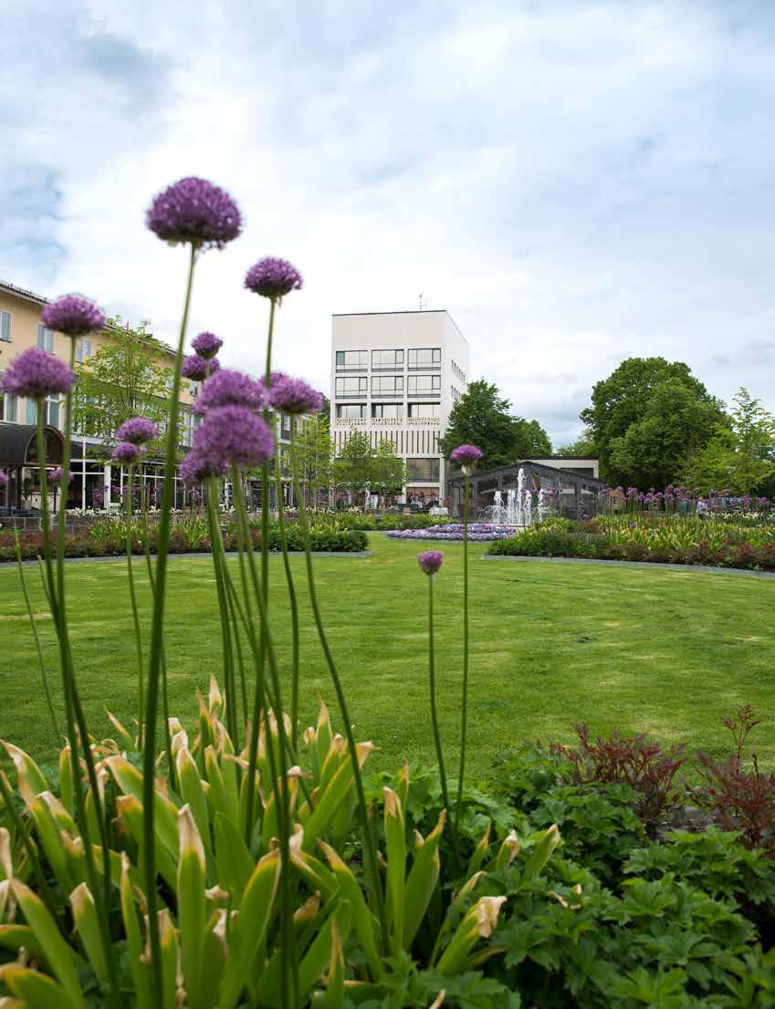 Jansasparken i centrala