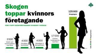 Antal styrelsemöten har uppgått till 10 ordinarie möten.