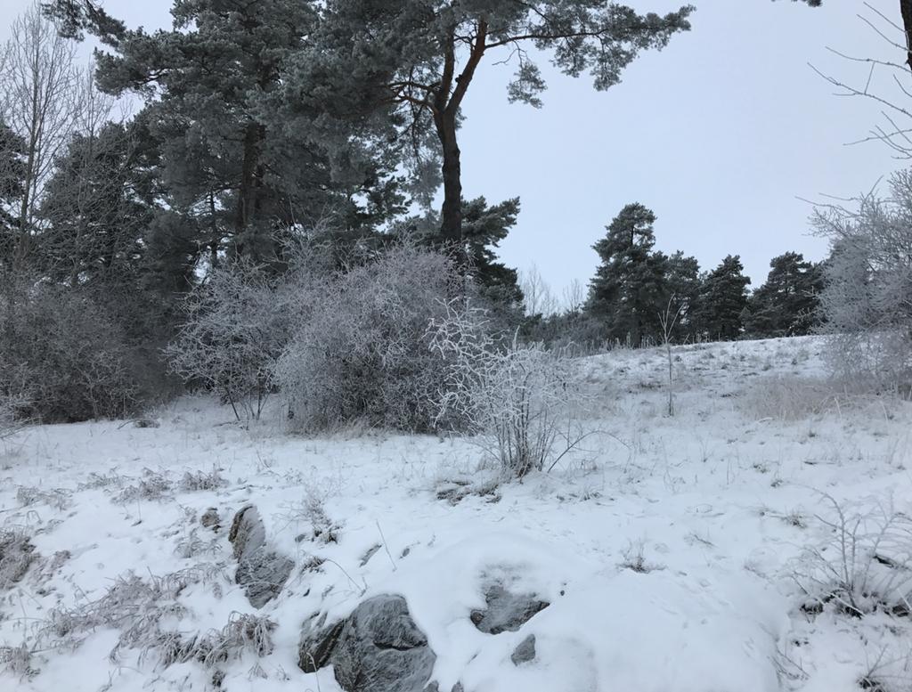 17U33355 Översiktlig radonundersökning