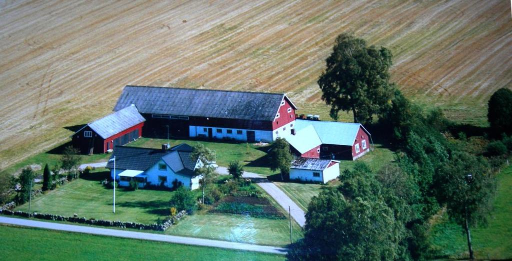 28 Lia 2:4, flygbild från 2003