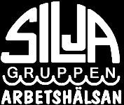 Personuppgiftsansvarig Personuppgiftsbiträdet Namn: Siljagruppen Arbetshälsan AB Organisationsnummer: 556615-5726 Adress: Vasagatan 31A, 792 31 Mora Kontaktperson: Tore Gustavsson E-postadress