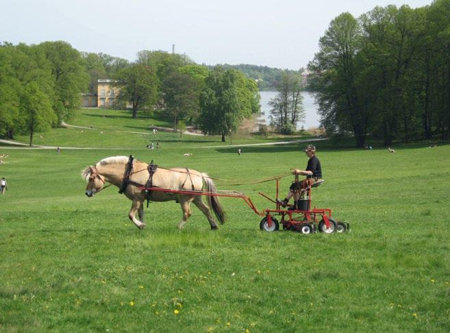 golfbanor med häst i Örebro.21 De senaste åren har fera svenska kommuner börjat använda hästdragna cylinderklippare för att klippa större gräsytor i städernas parker.