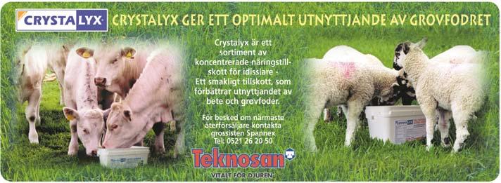 Swedish Meats genomsnittliga högsta KRAV-tillägg för ekologiskt slaktsvin, nöt och lamm 2000 2007, kr/kg Slaktsvin Ungnöt kronor grundavräkning Merbetalning i % kronor grundavräkning Merbetalning i %