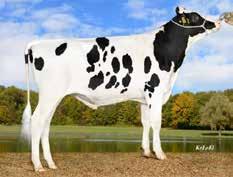 Review Stmb nr 383 Kod nr 9-7714 F: Regard M: KAR Vicky VG-85 VG-86 Paletti PP Stmb nr 385 Kod nr 9-7719 F: Powerball P M: MS Sunview SE Suri-red P MF: Balisto MM: KAR Vikna VG-87 Sunday RC VG-87 MF:
