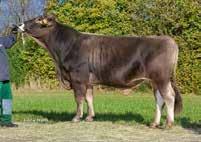 SPERMEX - Your reliable source of top genetics for all your breeding requirements! SPERMEX - Your reliable source of top genetics for all your breeding requirements!
