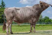 215 ENSIGN ET *TA NEPAL DE 09 30480685 JUPITER *TM 7/7 8.703 4,11 3,66 676 MARION ORSELIA DE 09 383743 HUCOS DE 09 84731 HUVIC 9/9 8.054 4,32 3,77 652 ORKLA DE 09 33536868 EMSTAR (M) HL: 3. 8.8 4,48 3,86 741 11/10 8.