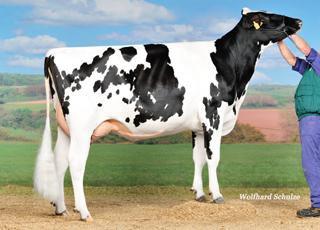 Motion Stmb nr 91430 Kod nr 9-7326 F: Mowanbo M: OH Wilsa VG-85 Snowboard Stmb nr 386 Kod nr 9-7720 F: Snowman M: Cayenne VG-88 MF: Shottle MM: OH Wick VG-88 MF: Gibor MM: aha Carla EX- MMF: Manat