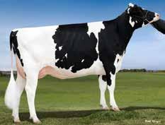 Genomiska Aragon Stmb nr 464 Kod nr 9-7739 F: Araxis M: Hendel Racer Bea Bali P Stmb nr 384 Kod nr 9-7718 F: Battlecry M: Amulette EX-90 MF: Racer MM: Hendel Epic Bethea MF: Jacey MM: JK Eder All P